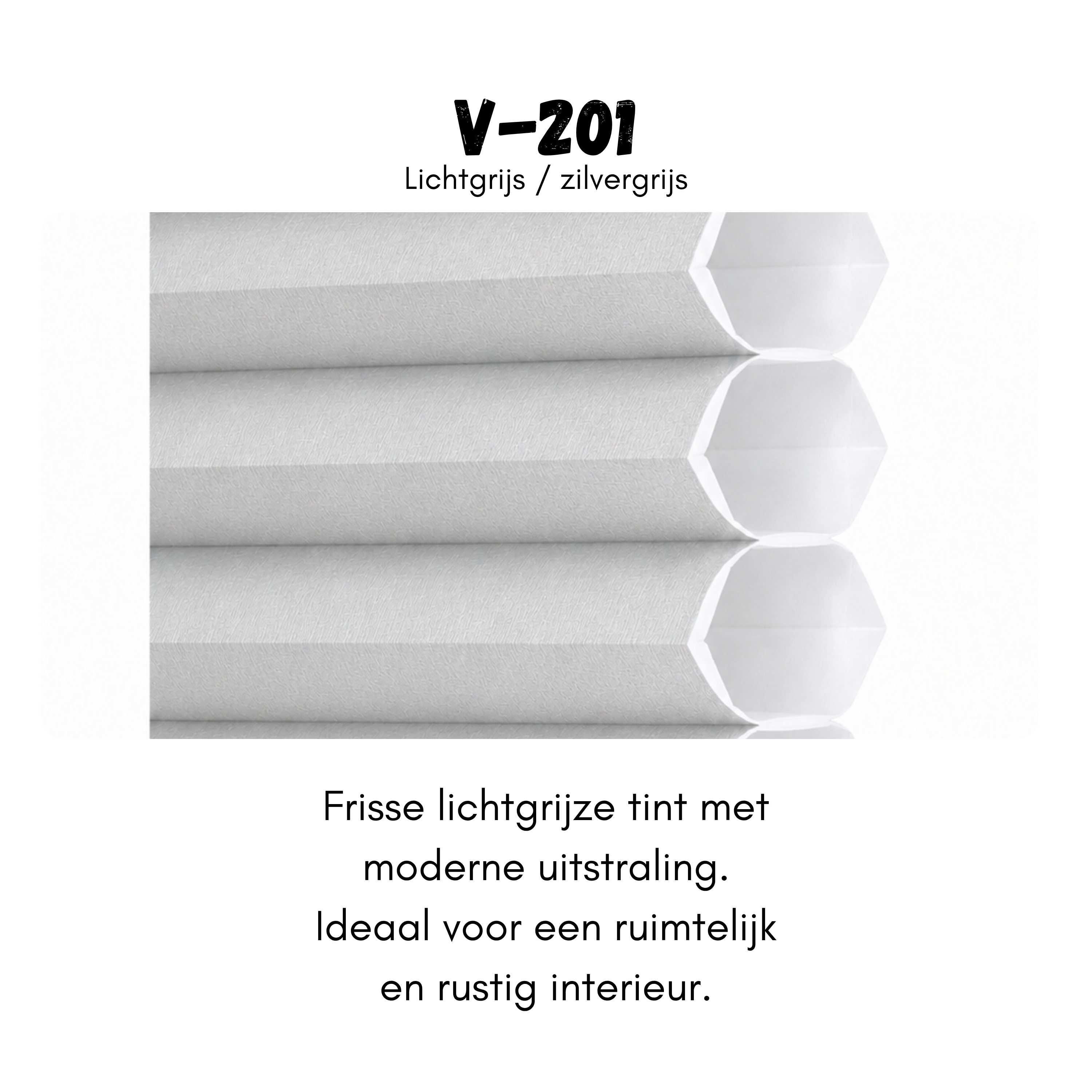 VIVA 26mm - V-201