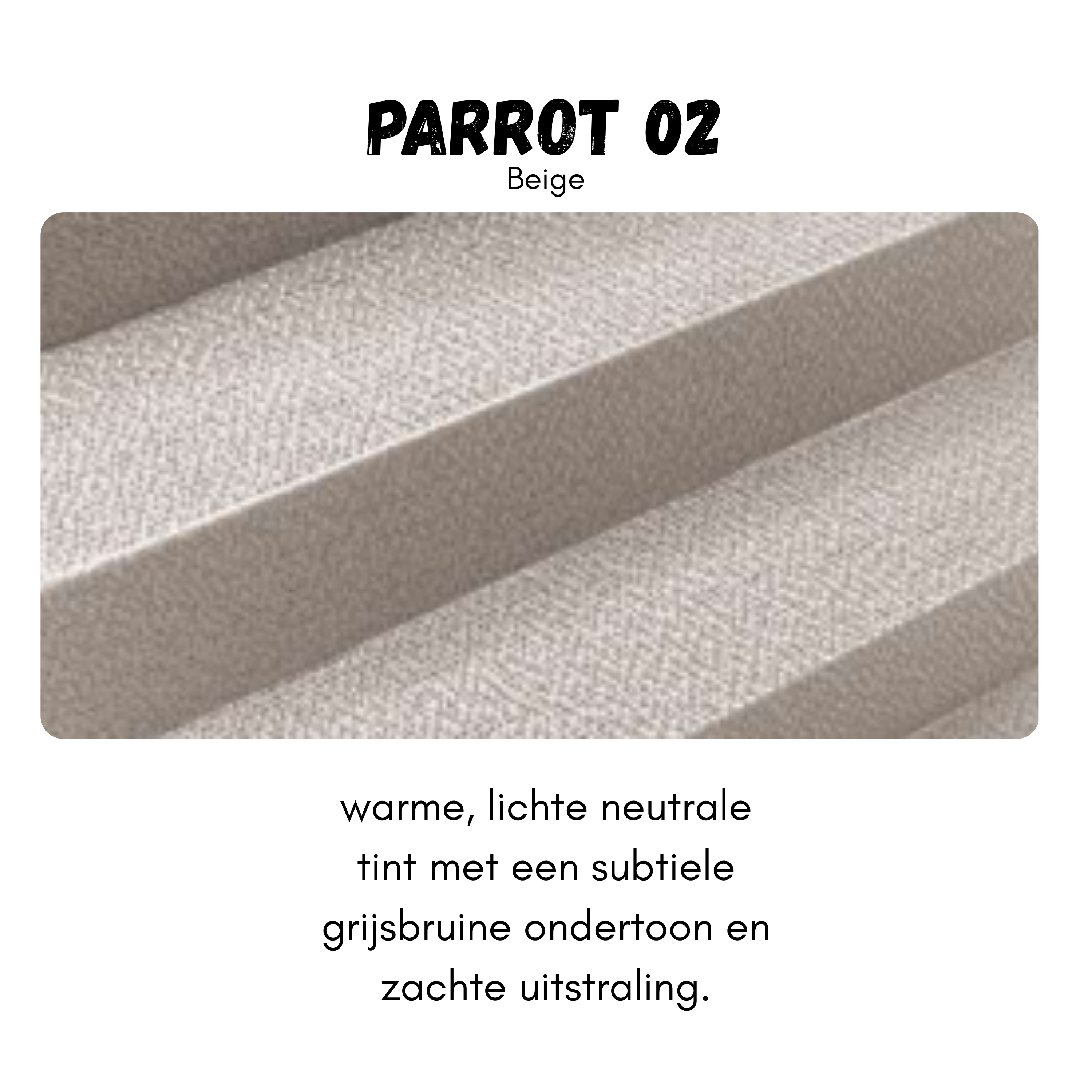 EasyFix 14mm - Parrot 02