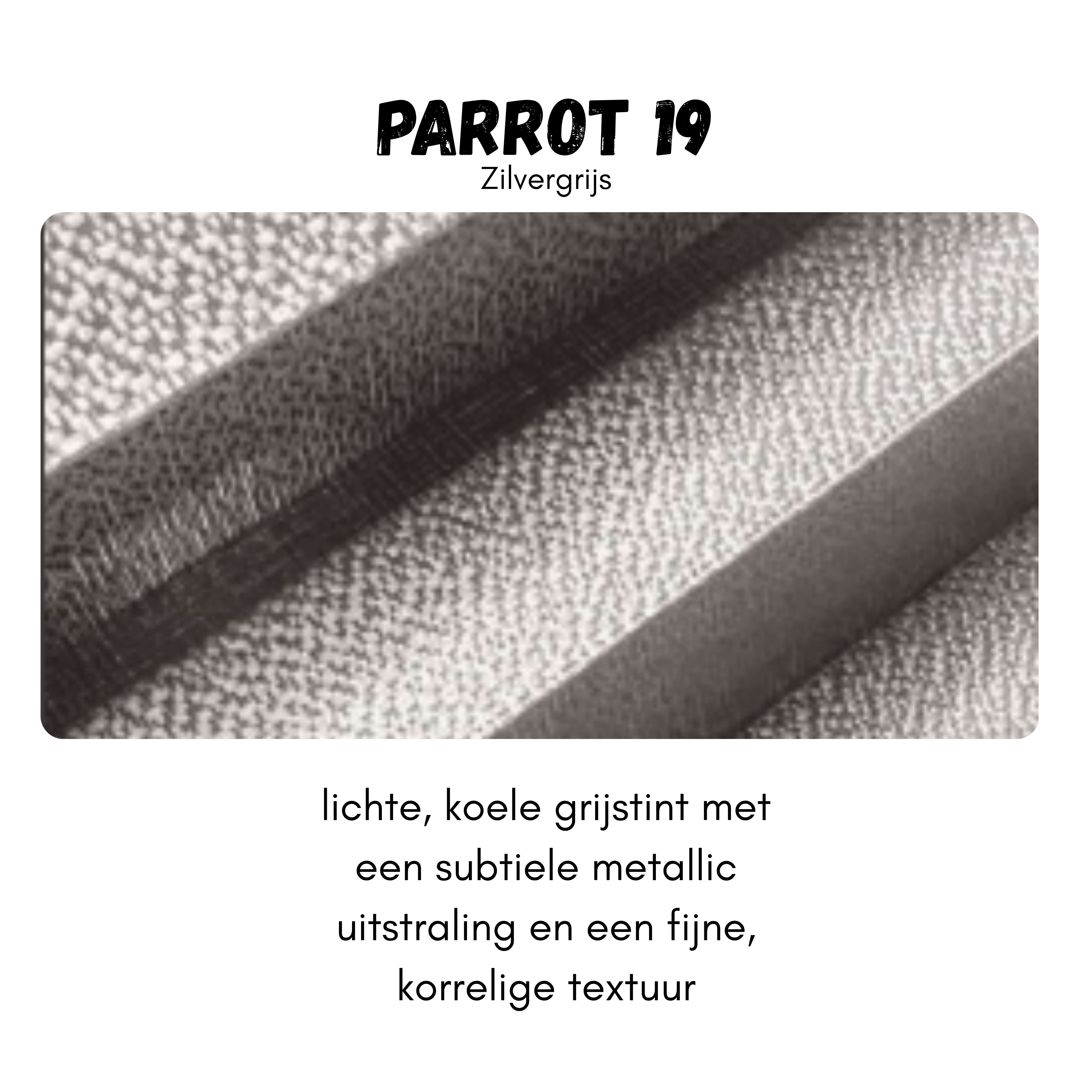 EasyFix 14mm - Parrot 19
