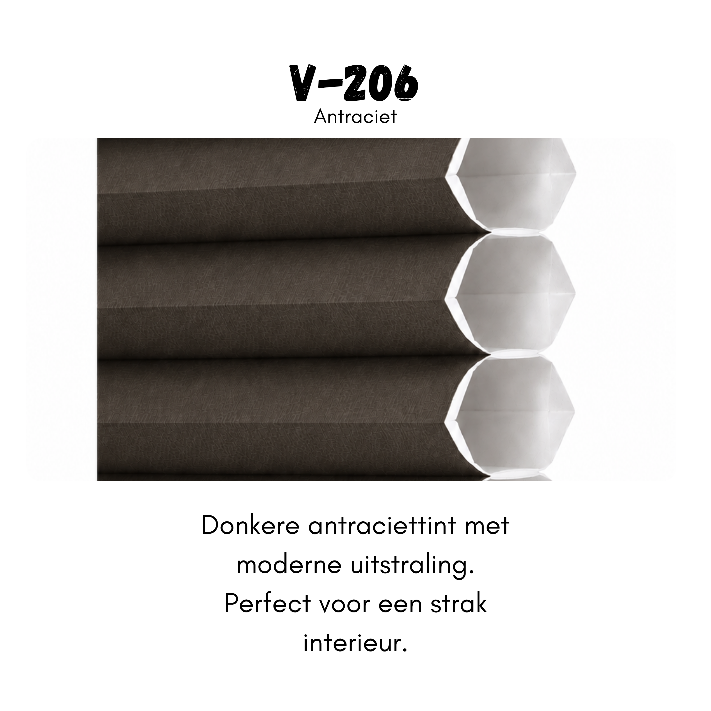 VIVA 26mm - V-206